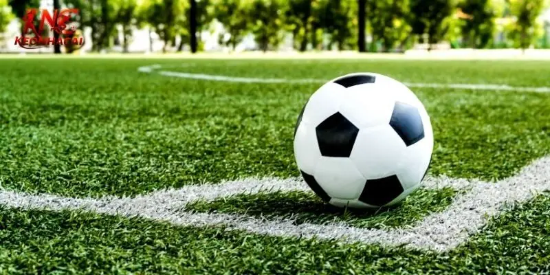 Dữ liệu được kèo nhà cái chắt lọc kỹ lưỡng