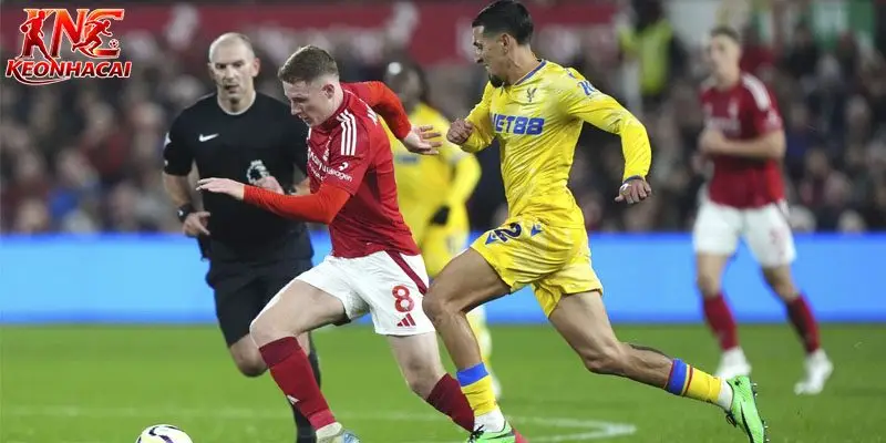 Lịch sử đối đầu giữa Nottingham vs Crystal Palace đang ủng hộ chủ nhà