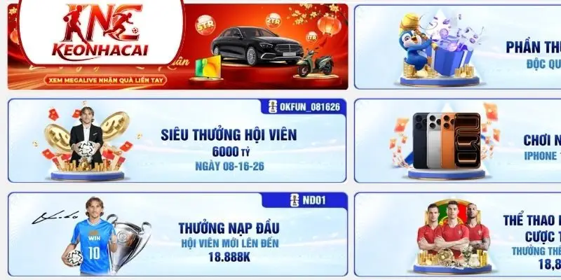 Dịch vụ hỗ trợ chuyên nghiệp tận tâm